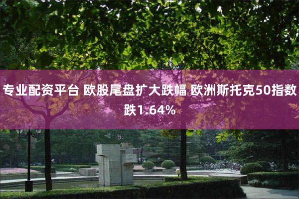 专业配资平台 欧股尾盘扩大跌幅 欧洲斯托克50指数跌1.64%