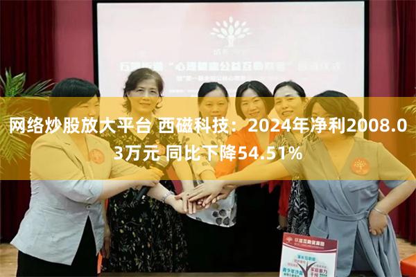 网络炒股放大平台 西磁科技：2024年净利2008.03万元 同比下降54.51%