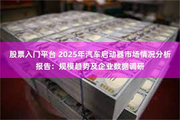 股票入门平台 2025年汽车启动器市场情况分析报告：规模趋势及企业数据调研