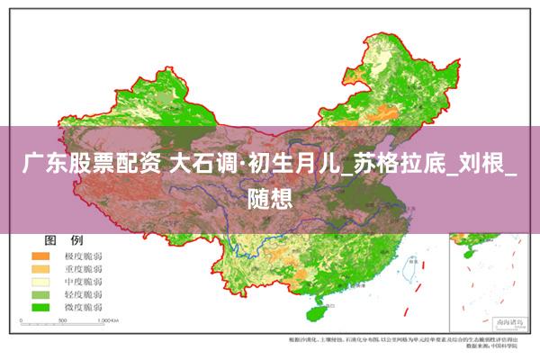 广东股票配资 大石调·初生月儿_苏格拉底_刘根_随想