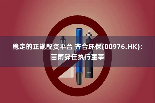 稳定的正规配资平台 齐合环保(00976.HK)：苗雨辞任执行董事