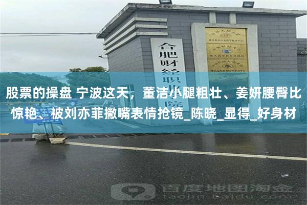 股票的操盘 宁波这天，董洁小腿粗壮、姜妍腰臀比惊艳、被刘亦菲撇嘴表情抢镜_陈晓_显得_好身材