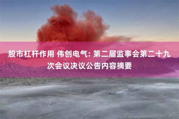 股市杠杆作用 伟创电气: 第二届监事会第二十九次会议决议公告内容摘要