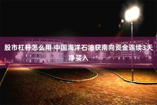 股市杠杆怎么用 中国海洋石油获南向资金连续3天净买入