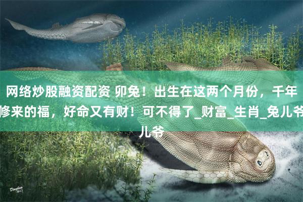 网络炒股融资配资 卯兔！出生在这两个月份，千年修来的福，好命又有财！可不得了_财富_生肖_兔儿爷